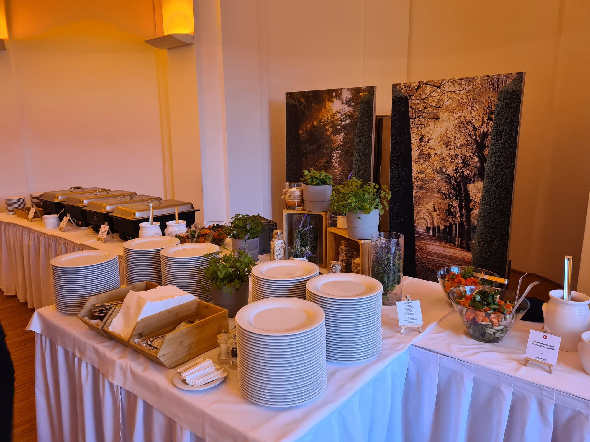 Event-Buffet von charlyfresh im Casino Zögernitz, Wien