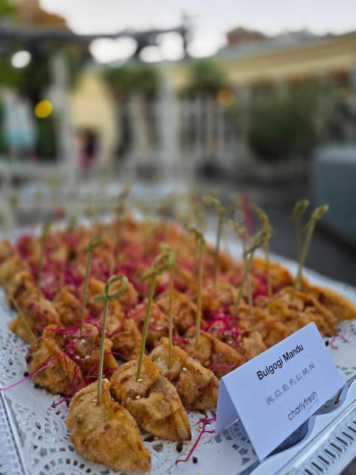 charlyfresh Catering — Voga Wien (3)