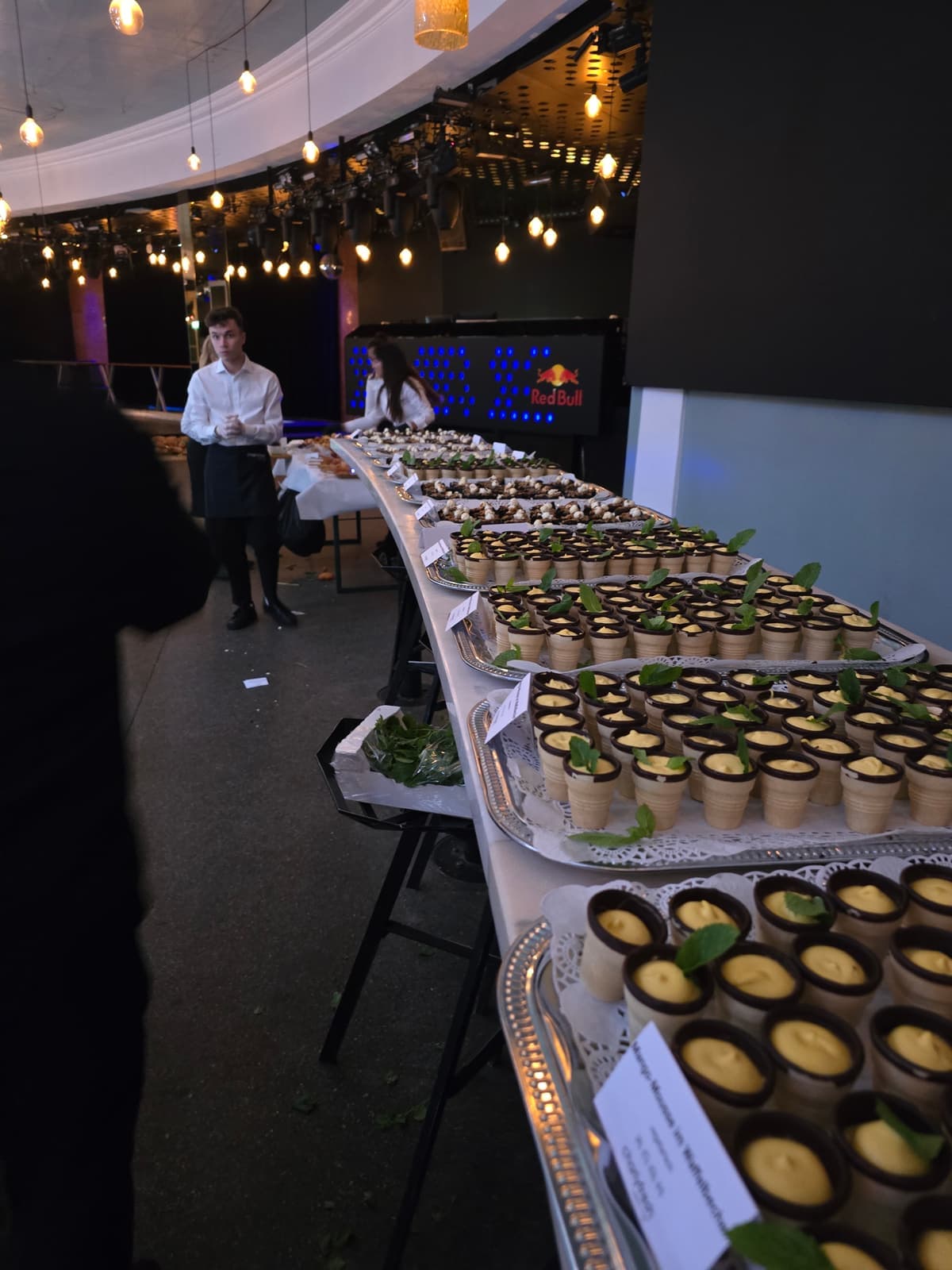 charlyfresh Catering — Voga Wien (6)