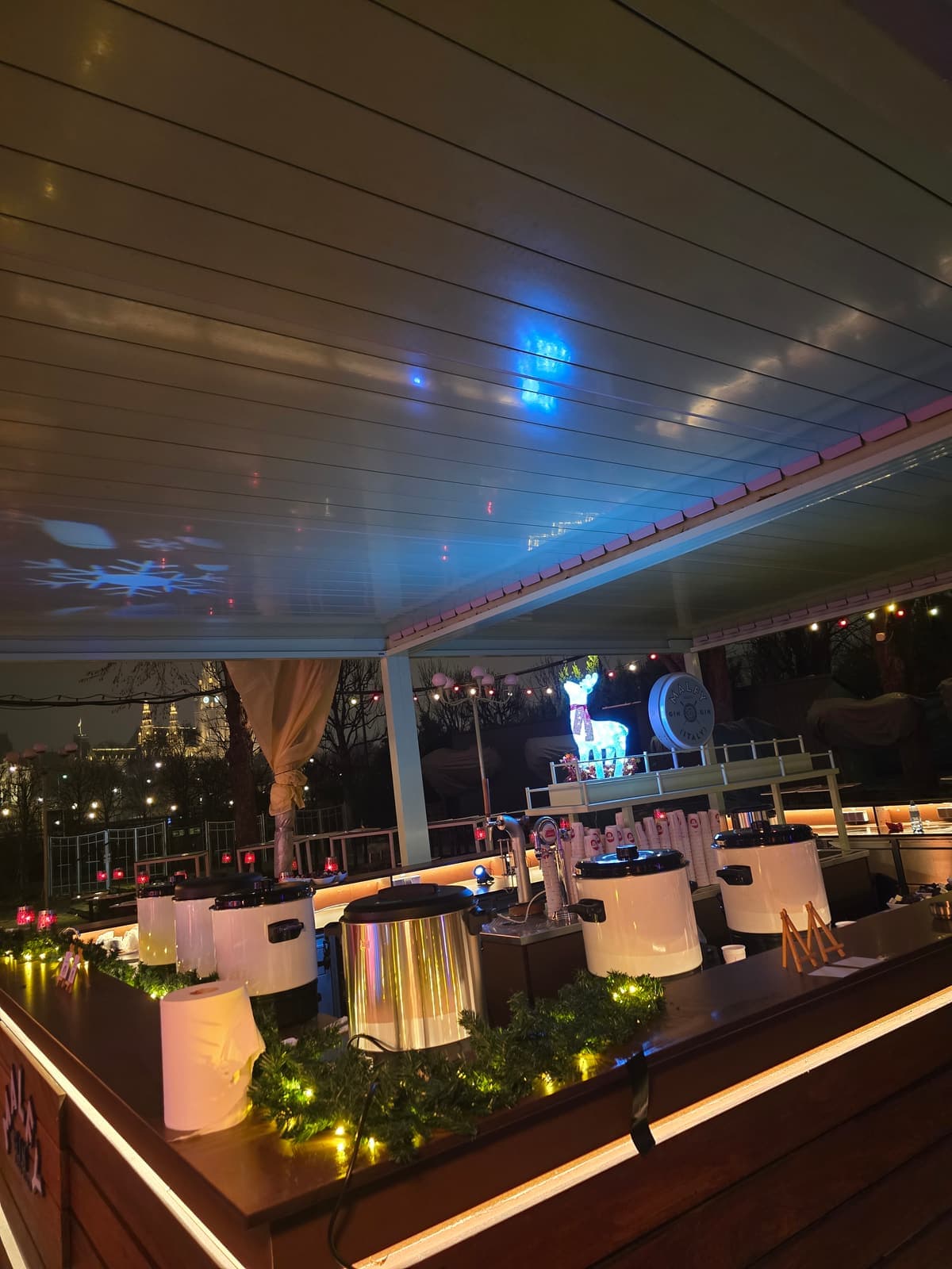 charlyfresh Catering — Voga Wien (9)